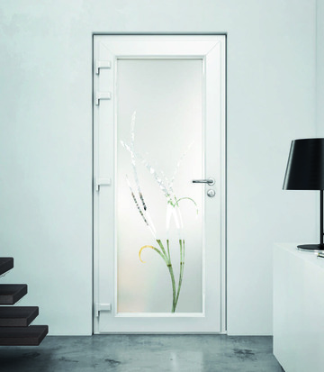 Portes entrée PVC