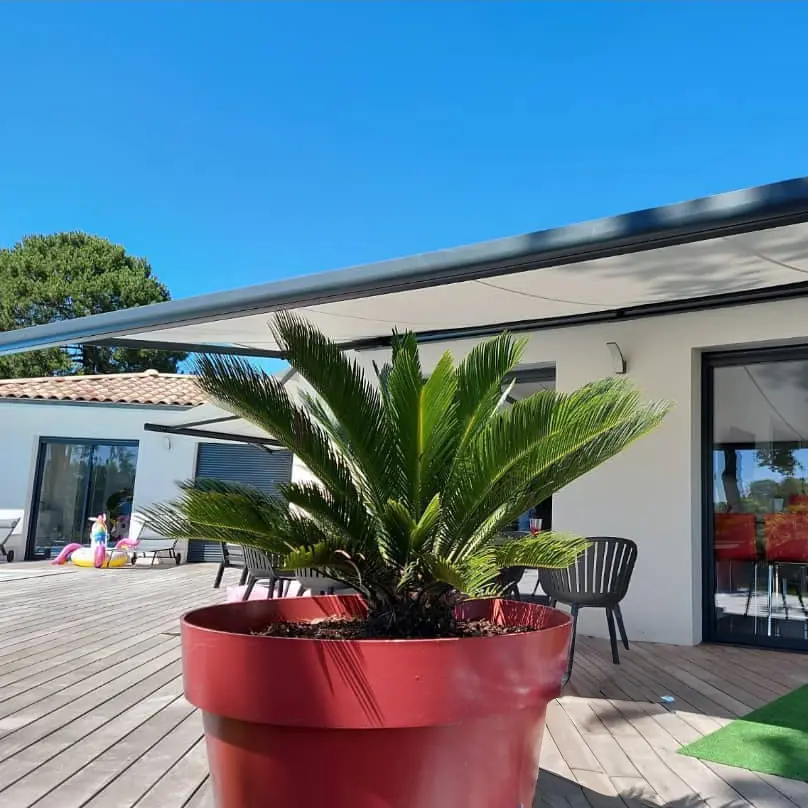 pergola bioclimatique bordeaux store banne terrasse